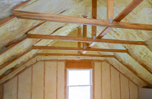 Best Residential Insulation Services  in Burton, SC