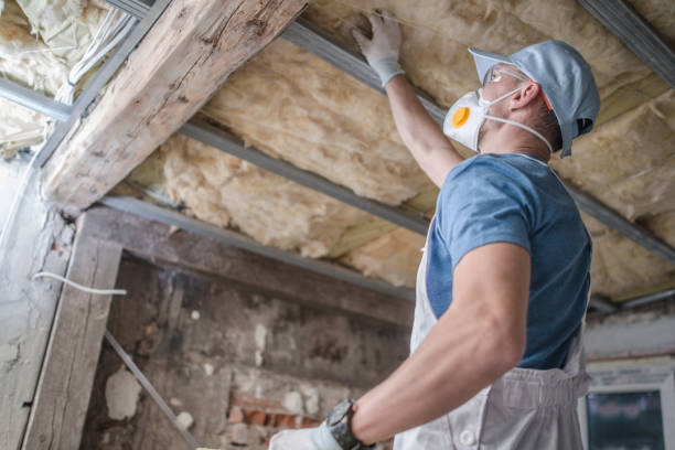 Professional Insulation Contractor in Burton, SC