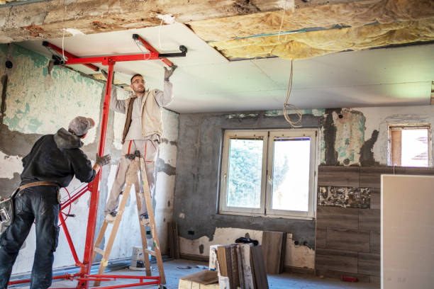 Insulation Replacement Services in Burton, SC