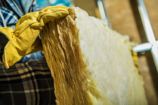 Best Garage Insulation Installation  in Burton, SC