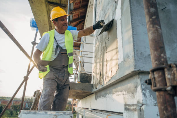 Best Best Insulation Companies  in Burton, SC