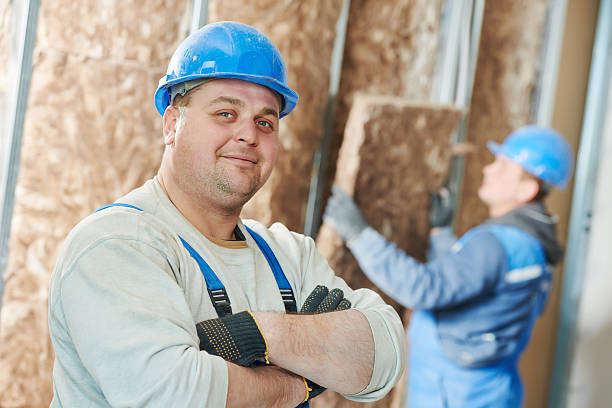 Best Insulation Removal  in Burton, SC