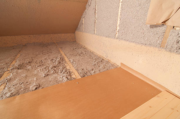 Best Attic Insulation Installation  in Burton, SC
